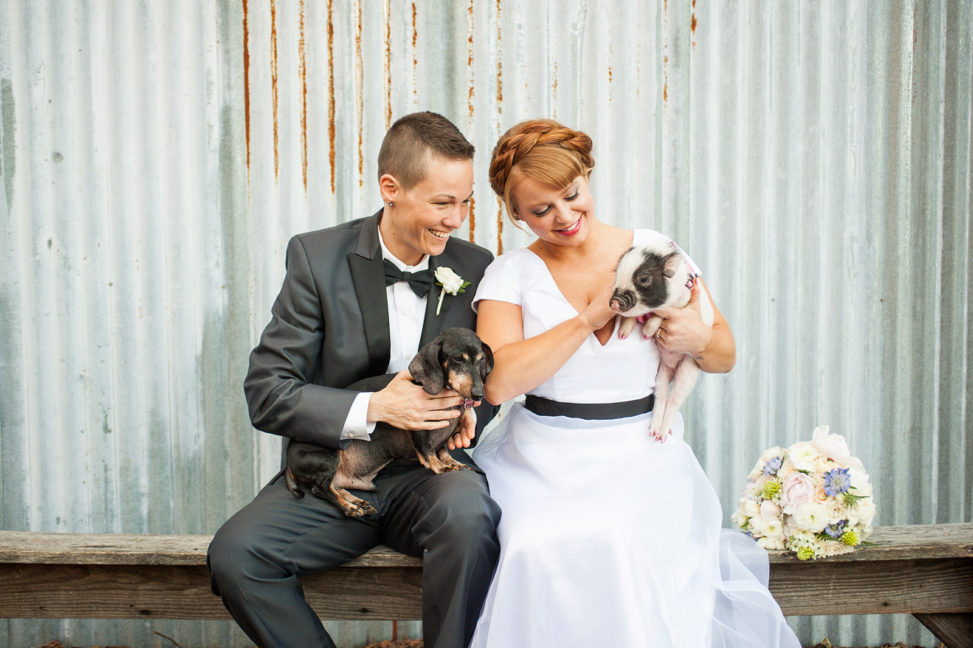 lgbtq couple in tux and wedding gown sitting on bench with a dachshund and a piglet